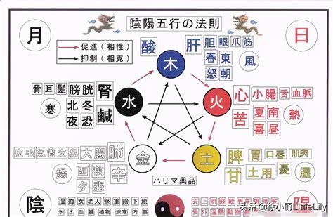 五行 五臟|搞懂中醫五行陰陽論！一張表看懂五行與五臟的關係